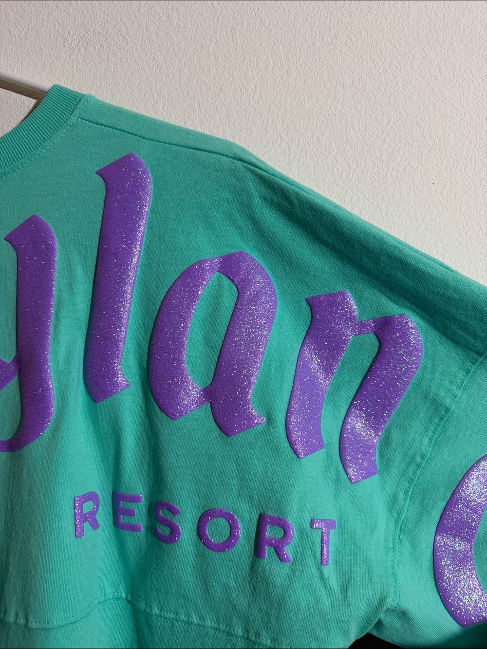 Disney Disneyland Blue and Purple Spirit Jersey for Adults size small - Picture 5 of 12